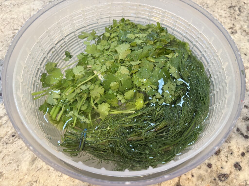 Cilantro and dill soaking to refresh and rehydrate